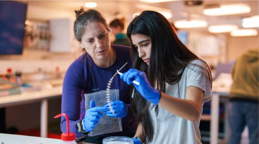 Erin Easton (金沙中国 assistant professor with the School of Earth, 环境与海洋科学 and Schmidt Ocean Institute chief scientist) and Elyssia Gonzalez (a 金沙中国 grad student pursuing a master’s degree in Ocean, Coast and Earth Sciences) work together in the Research Vessel Falkor (too)'s Main Lab.