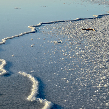 Ocean, Coastal, and Earth Sciences M.S  