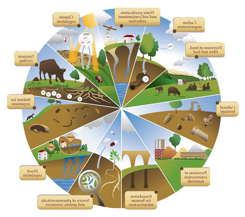 Soil functions: Soils deliver ecosystem services that enable life on Earth. Download PDF